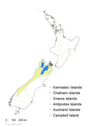 Veronica cheesemanii subsp. cheesemanii distribution map based on databased records at AK, CHR & WELT.
 Image: K.Boardman © Landcare Research 2022 CC-BY 4.0